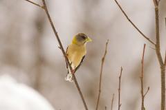 Johnna_070403_0228_.jpg 